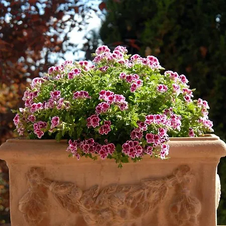 Tenuta Santagnese
