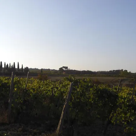 Tenuta Santagnese Montepulciano