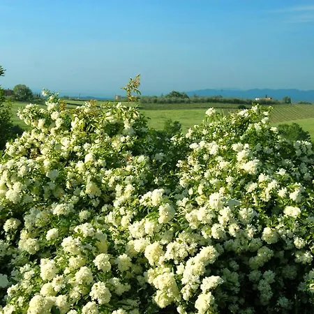 Farm stay Tenuta Santagnese